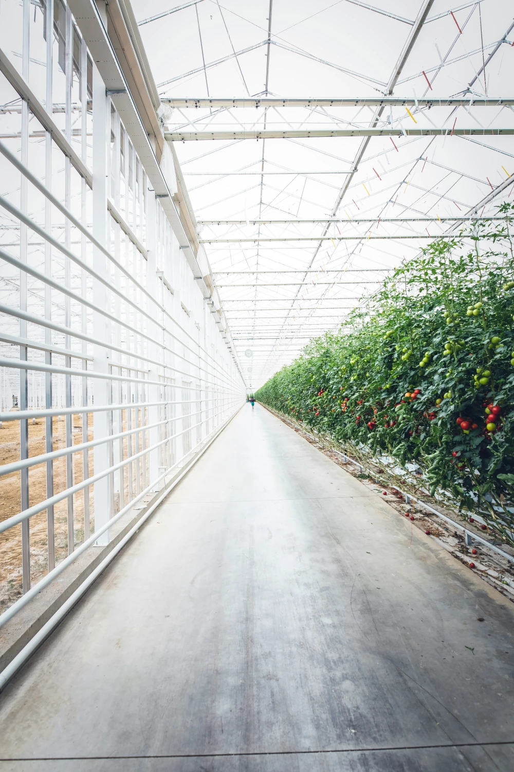 Tekeningen van bijzondere kassenbouw projecten